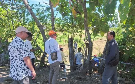 Brigade Pangan, Strategi Kementan Ajak Generasi Muda Wujudkan Swasembada Pangan