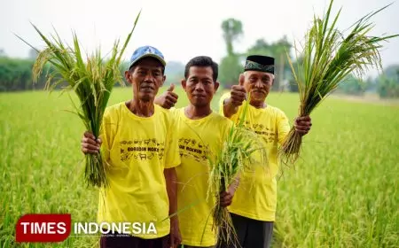 Wujudkan Transformasi Pertanian Berkelanjutan, Pupuk Kaltim Raih Penghargaan AREA 2025