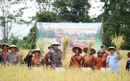 Wabup Sleman Dukung Petani Lewat Panen Raya Padi Sembada Merah di Trimulyo