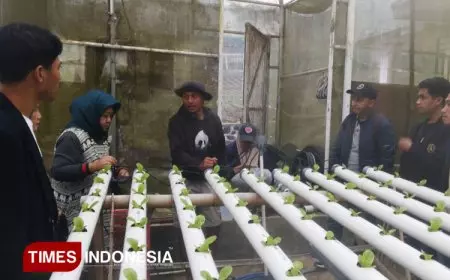 Urban Farming sebagai Pilar Green City Movement: Solusi Ketahanan Pangan dan Lingkungan Perkotaan