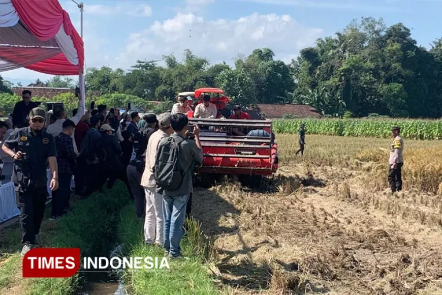 Wamentan Minta Sawah di Jember Dapat Ditanami Tiga Kali Setahun