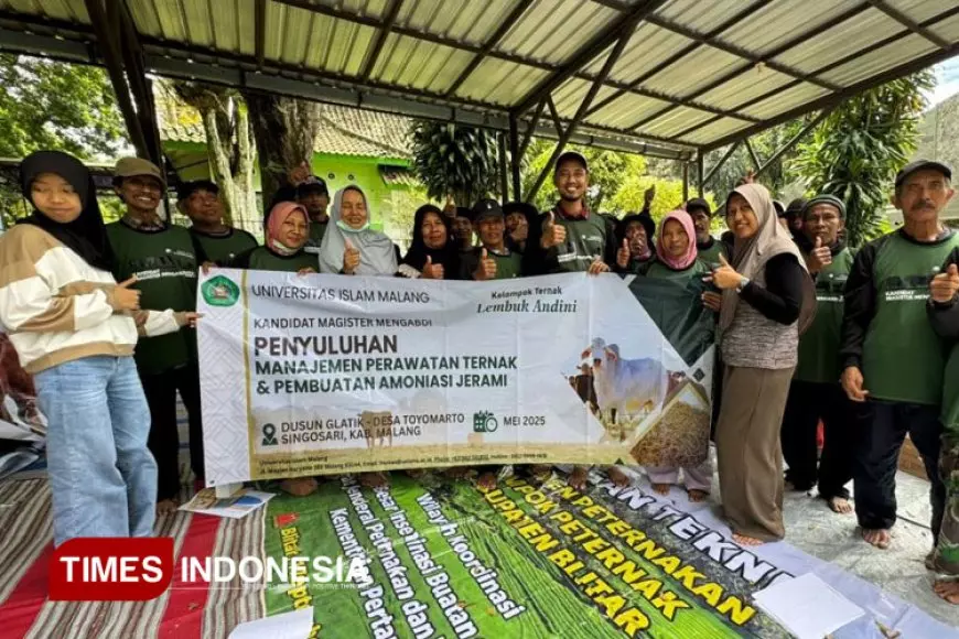 Mengadapi Musim Kemarau, Mahasiswa Magister UNISMA Menggelar Pelatihan Pembuatan Amoniasi Jerami