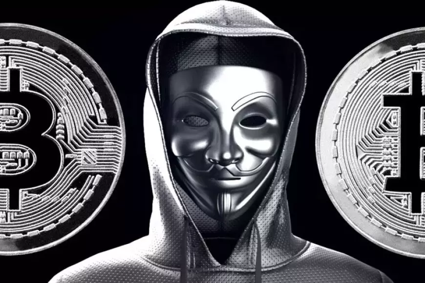 Money Electric, Film Dokumenter Tentang Pencipa Bitcoin