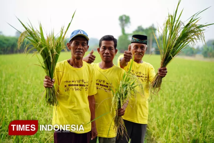 Wujudkan Transformasi Pertanian Berkelanjutan, Pupuk Kaltim Raih Penghargaan AREA 2025