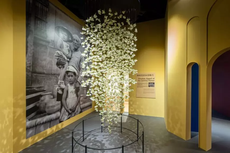 Tampilkan 140 Karya Asli, SJM Persembahkan Penayangan Perdana Dunia ''Picasso: Beauty and Drama"