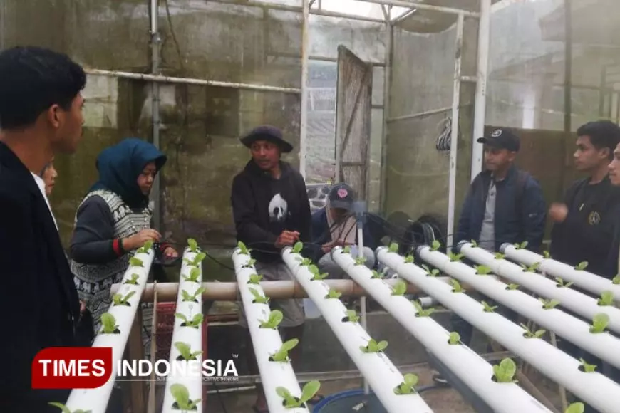 Urban Farming sebagai Pilar Green City Movement: Solusi Ketahanan Pangan dan Lingkungan Perkotaan
