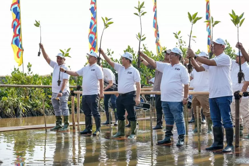 Komitmen PT KCN dalam Penanaman Mangrove sepanjang 4 Kilometer Mendukung Hari Mangrove Sedunia 2025