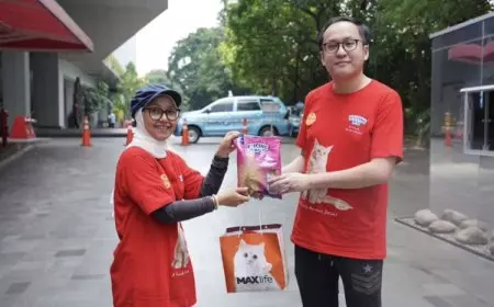 Kucingku Rayakan Cat International Day Lewat Aksi Peduli Kucing Jalanan
