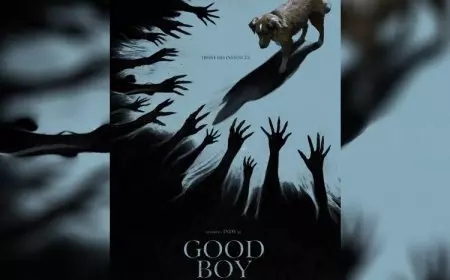 Good Boy, Film Horor dari POV Seekor Anjing