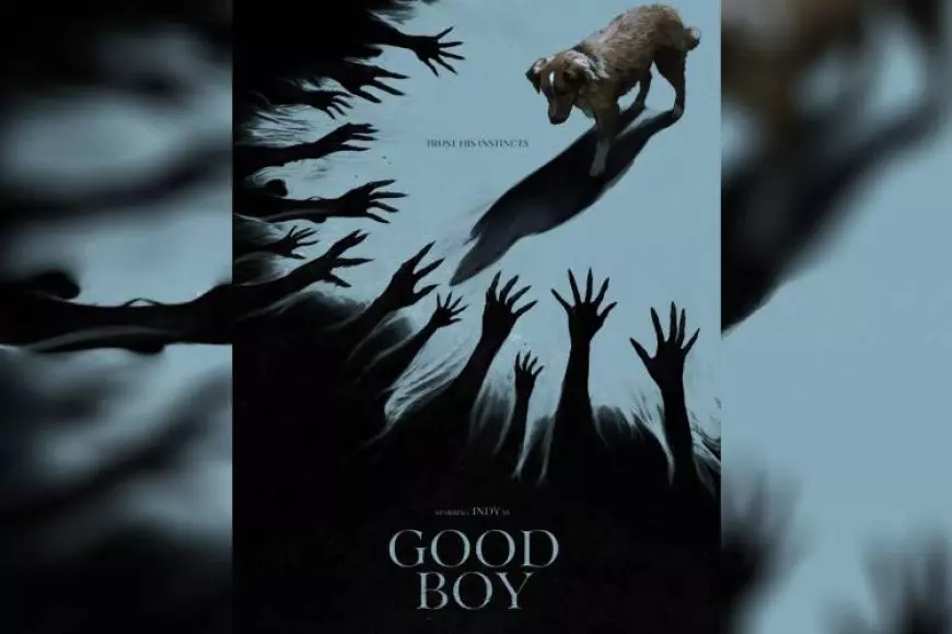 Good Boy, Film Horor dari POV Seekor Anjing