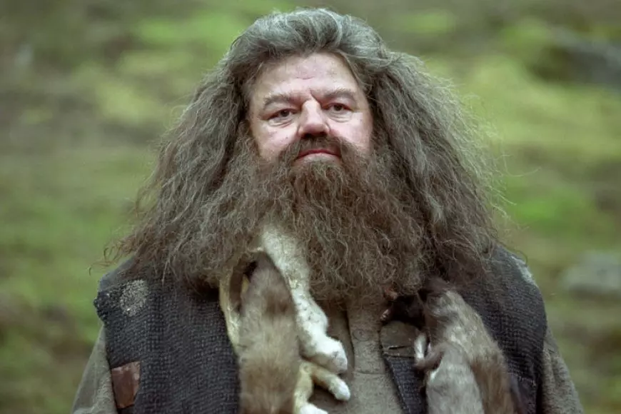Hagrid Baru Terlalu Mirip Versi Lama, Sutradara Film Harry Potter Kritik Pedas Reboot HBO