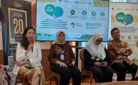 Menjaga Ekosistem Melalui Bambu, Berikut Manfaatnya