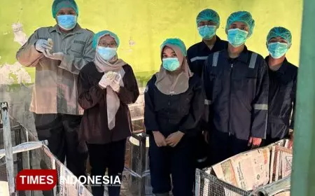 TIM PKM-RE UNISMA Berinovasi Daging Ayam Sehat Melalui Pemberian Minyak Magot dan Antioksidan Selenium