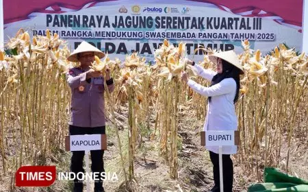 Dukung Swasembada Pangan Nasional, Kapolda dan Bupati Ipuk Panen Raya Jagung di Banyuwangi