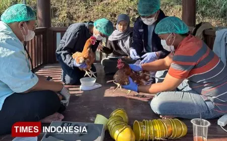 Gebrakan Mahasiswa PKM-RE 2025 UNISMA Tingkatkan hasil Peternakan Lewat Minyak Maggot