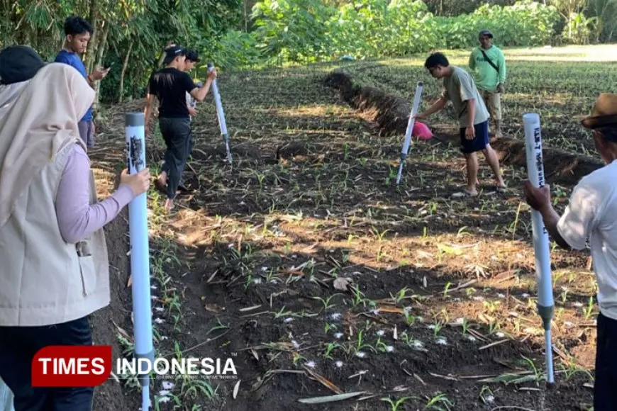 Implementasi Inovasi Teknologi Alat Bantu Pemupukan Efisiensi Pertanian