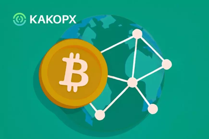 Strategi Globalisasi KAKOPX, Berbagi Teknologi Koneksi Ekosistem dan Kepatuhan Menyeluruh