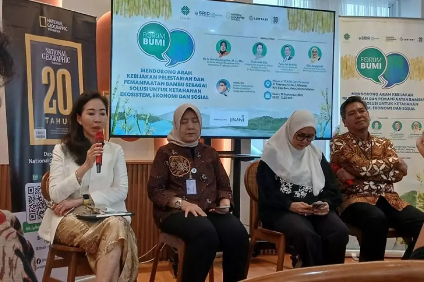 Menjaga Ekosistem Melalui Bambu, Berikut Manfaatnya