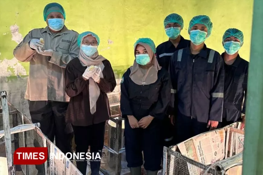 TIM PKM-RE UNISMA Berinovasi Daging Ayam Sehat Melalui Pemberian Minyak Magot dan Antioksidan Selenium