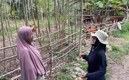 Muara Komam: Menyulam Asa di Koridor Transmigrasi, Menyongsong IKN