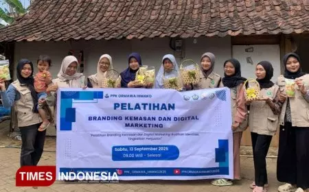 Pelatihan Branding Kemasan dan Digital Marketing untuk UMKM Keripik di Desa Hargomulyo