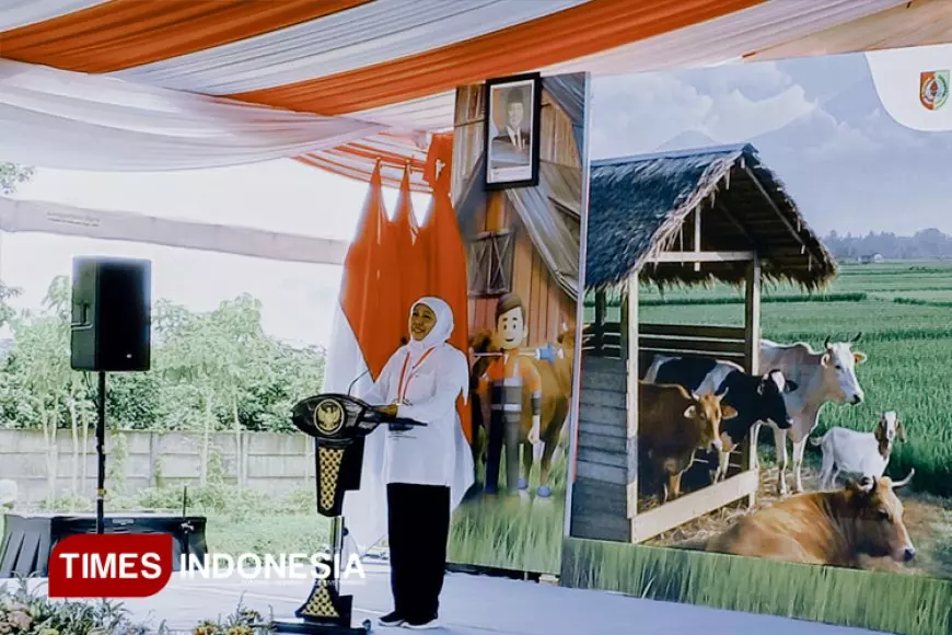 Gerakan Serentak Inseminasi Buatan Digelar di Jember, Sasar Lebih dari Seribu Ternak Betina