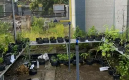 KKN Tematik UNIPMA 2025 Bangun Desa Gandri lewat Sosialisasi TOGA, Penanaman, dan Instalasi Sprinkler