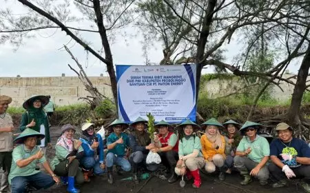 Tanam 2.500 Mangrove, Paiton Energy-PMI Probolinggo Bentengi Dringu dari Abrasi