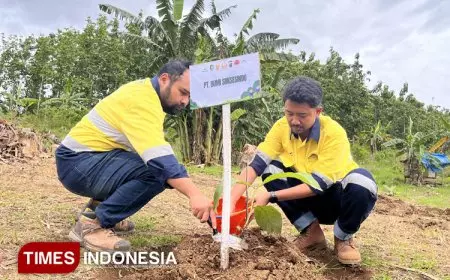 Cegah Bencana, Perhutani Hingga Perusahaan Tambang di Banyuwangi Gelar Penanaman Bibit Masal