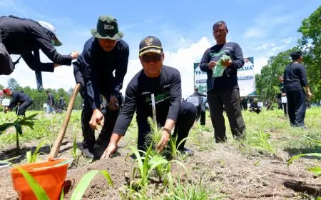 Cegah Bencana dari Hulu, Banyuwangi Gencarkan Tanam Ratusan Ribu Bibit Pohon