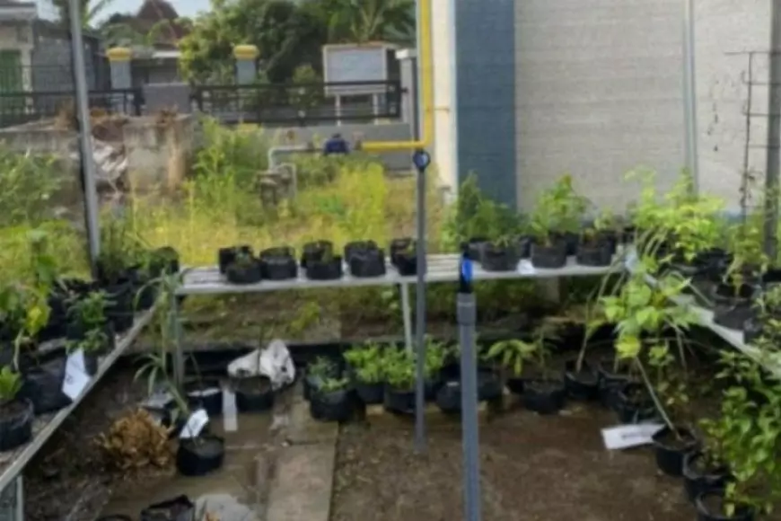 KKN Tematik UNIPMA 2025 Bangun Desa Gandri lewat Sosialisasi TOGA, Penanaman, dan Instalasi Sprinkler