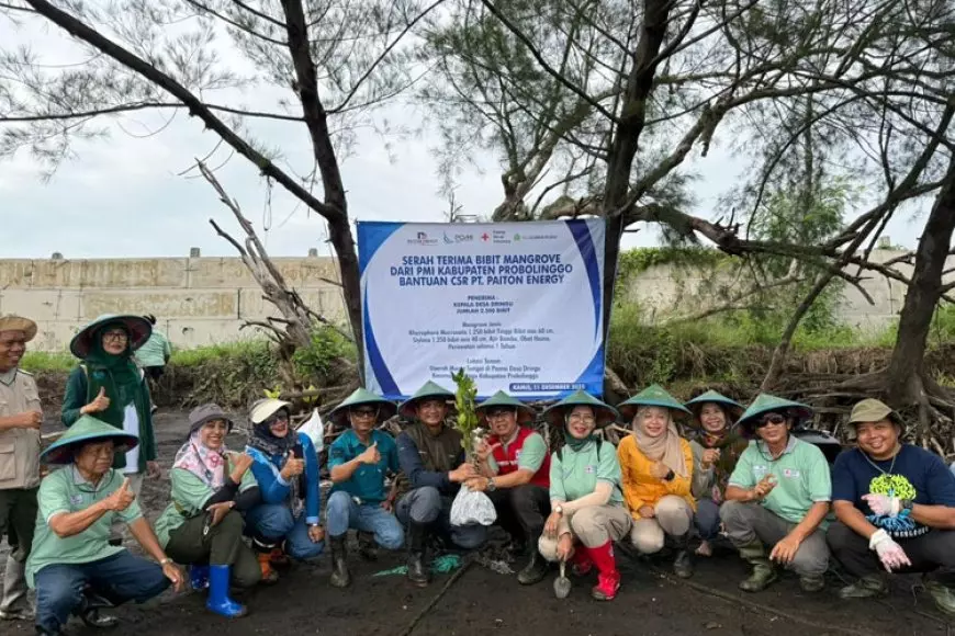 Tanam 2.500 Mangrove, Paiton Energy-PMI Probolinggo Bentengi Dringu dari Abrasi