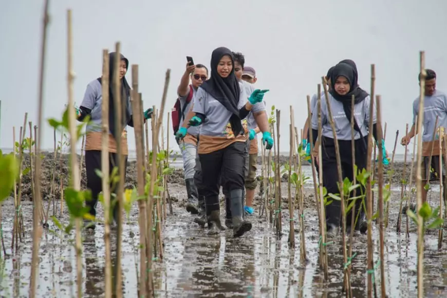 Kolaborasi Relawan dan Industri, Nestlé Mulai Gerakan Rehabilitasi Mangrove di Pesisir Jawa Timur