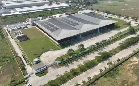 Masuki Tahun Ketujuh Terverifikasi Netral Karbon, Mowilex Percepat Penurunan Emisi Permanen