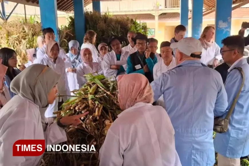 Kementan Gandeng Denmark Gelar ToT Pelatihan Susu Organik