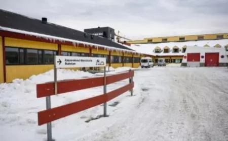 Greenland Tolak Mentah-mentah Tawaran Kapal Rumah Sakit dari Donald Trump