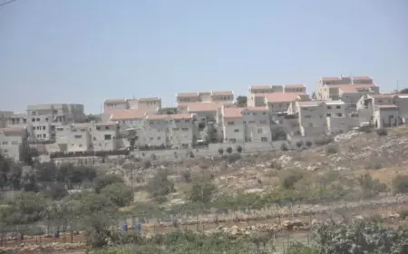 Perluasan Wilayah Israel di Tepi Barat Menunai Kutukan dari Puluhan Negara