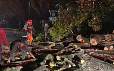 Diterjang Cuaca Ekstrem, Atap Rumah Ambruk dan Pohon Tumbang di Kota Batu