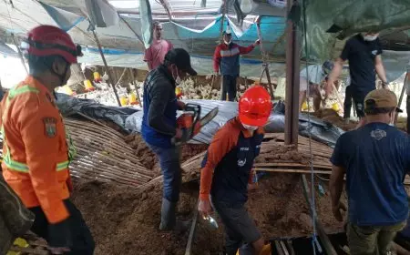 Lima Pekerja Tertimpa Kandang Ambruk di Wonosari, Satu Orang Meninggal