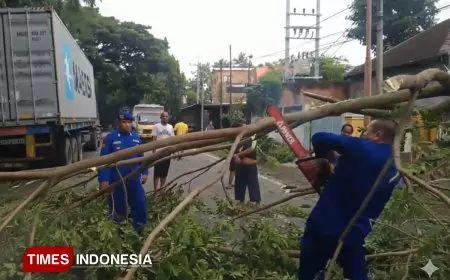 Respons Cepat Satpolairud Polresta Banyuwangi Evakuasi Pohon Tumbang di Jalur Nasional