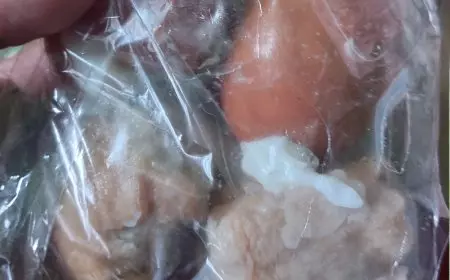 SPPG di Probolinggo Sajikan Menu MBG Tahu Pentol Berulat dan Bakpau Berjamur