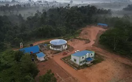 Ekosistem TNBT Jambi Menyempit, BKSDA Peringatkan Ancaman Konflik Manusia dan Satwa