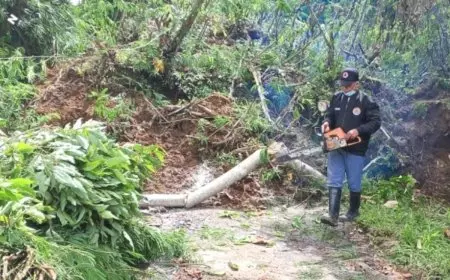 Longsor Tutup Akses Jalan Penghubung di Desa Tamansari Kabupaten Malang, 1.213 Warga Terdampak