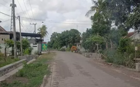 Senangnya Warga Petak 56 Pesanggaran Banyuwangi, Kini Bisa Anjangsana Lebaran dengan Jalan Mulus