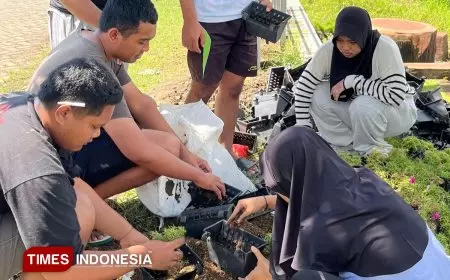 KSM-N UNISMA Lakukan Penanaman Bunga Krokot untuk Memperindah Taman Desa Kedunganyar