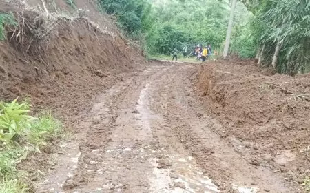 Jalan Penghubung Dua Dusun di Ampelgading Malang Tertangani, BPBD Pantau Banjir Genangan