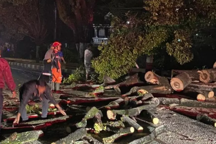 Diterjang Cuaca Ekstrem, Atap Rumah Ambruk dan Pohon Tumbang di Kota Batu