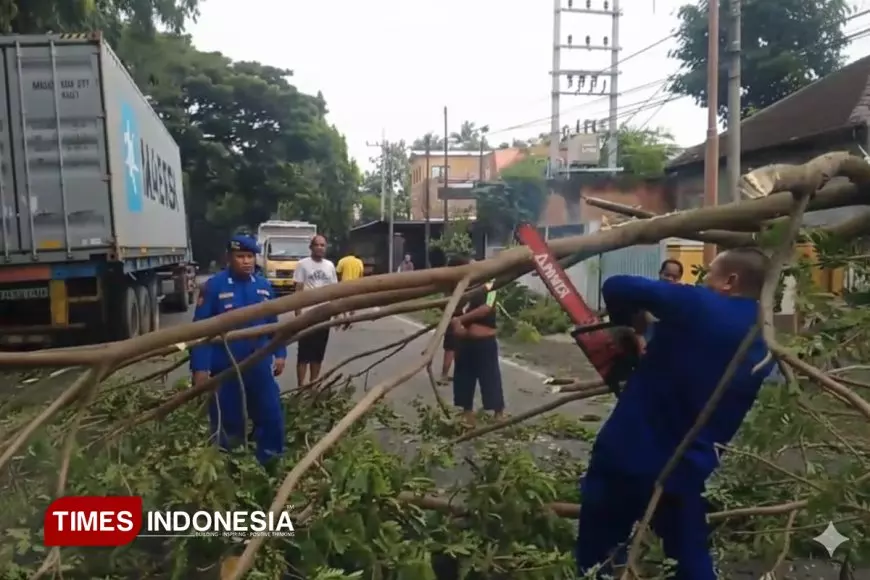 Respons Cepat Satpolairud Polresta Banyuwangi Evakuasi Pohon Tumbang di Jalur Nasional