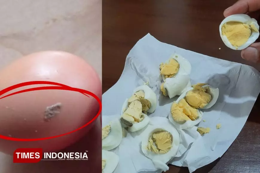 Bantah Kabar Telur Basi, Ketua Yayasan SPPG Rembang Pastikan Menu MBG Aman Dikonsumsi