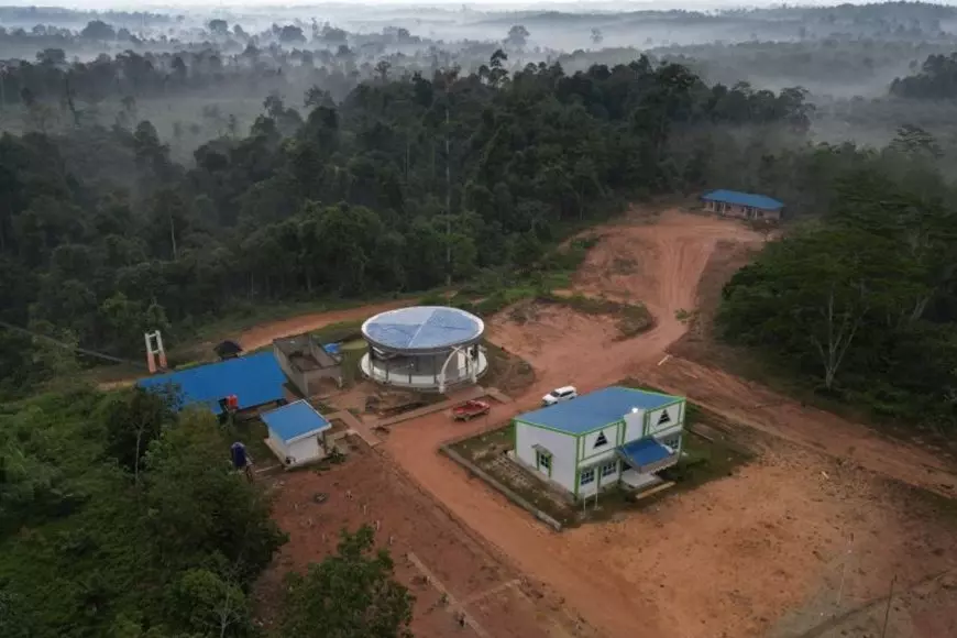 Ekosistem TNBT Jambi Menyempit, BKSDA Peringatkan Ancaman Konflik Manusia dan Satwa